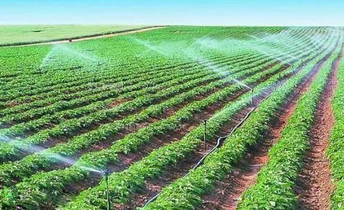 抽插小穴高潮免费网站农田高 效节水灌溉